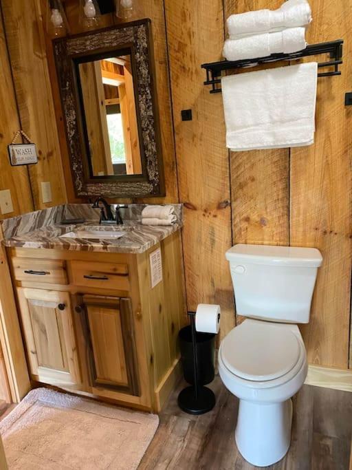 The Llaguna Lodge - New Cabin, Sleeps 10, Fire Pit, Hot Tub, In Blue Ridge , Ga Εξωτερικό φωτογραφία