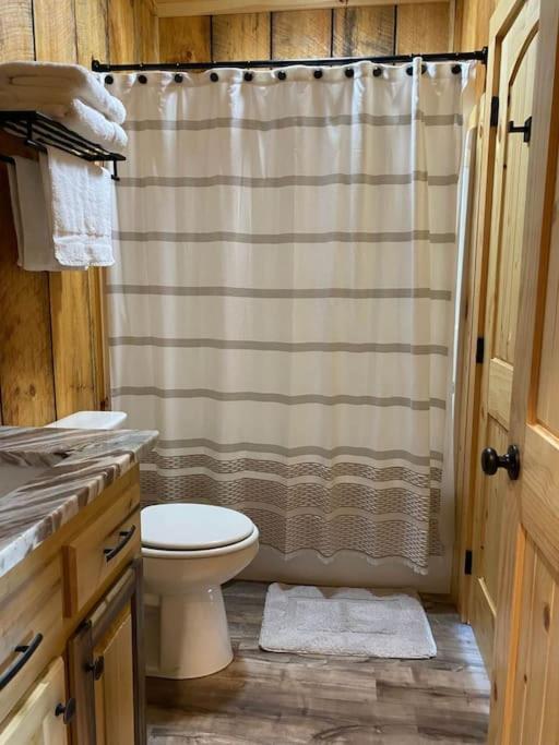 The Llaguna Lodge - New Cabin, Sleeps 10, Fire Pit, Hot Tub, In Blue Ridge , Ga Εξωτερικό φωτογραφία